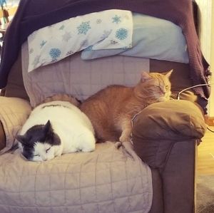 Meet your Posher, Bradley